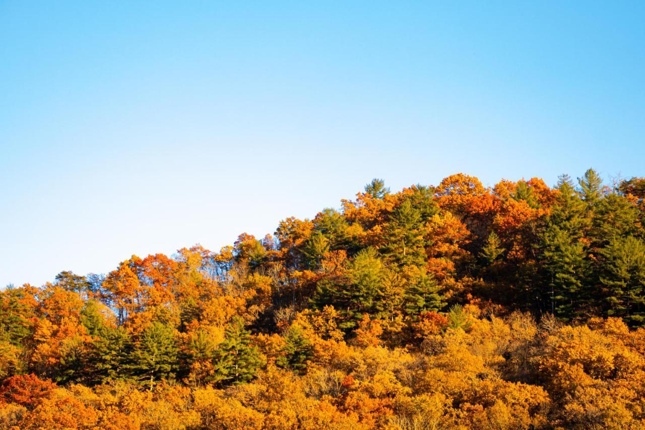 Bay Mountain Inn Cherokee Smoky Mountains Exteriér fotografie